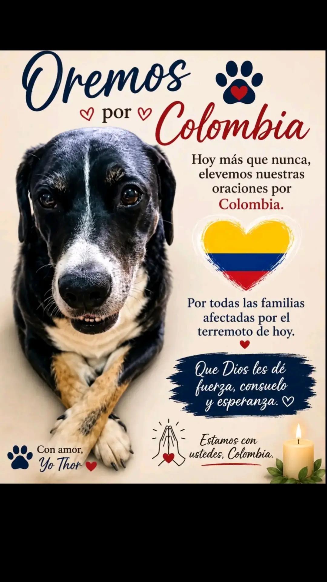 @Thor y Linda 🐾🐕❤️