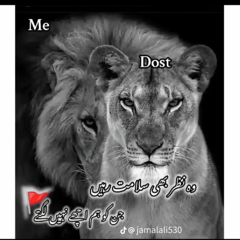@R&atilde;جp&oacute;&ograve;t👑
