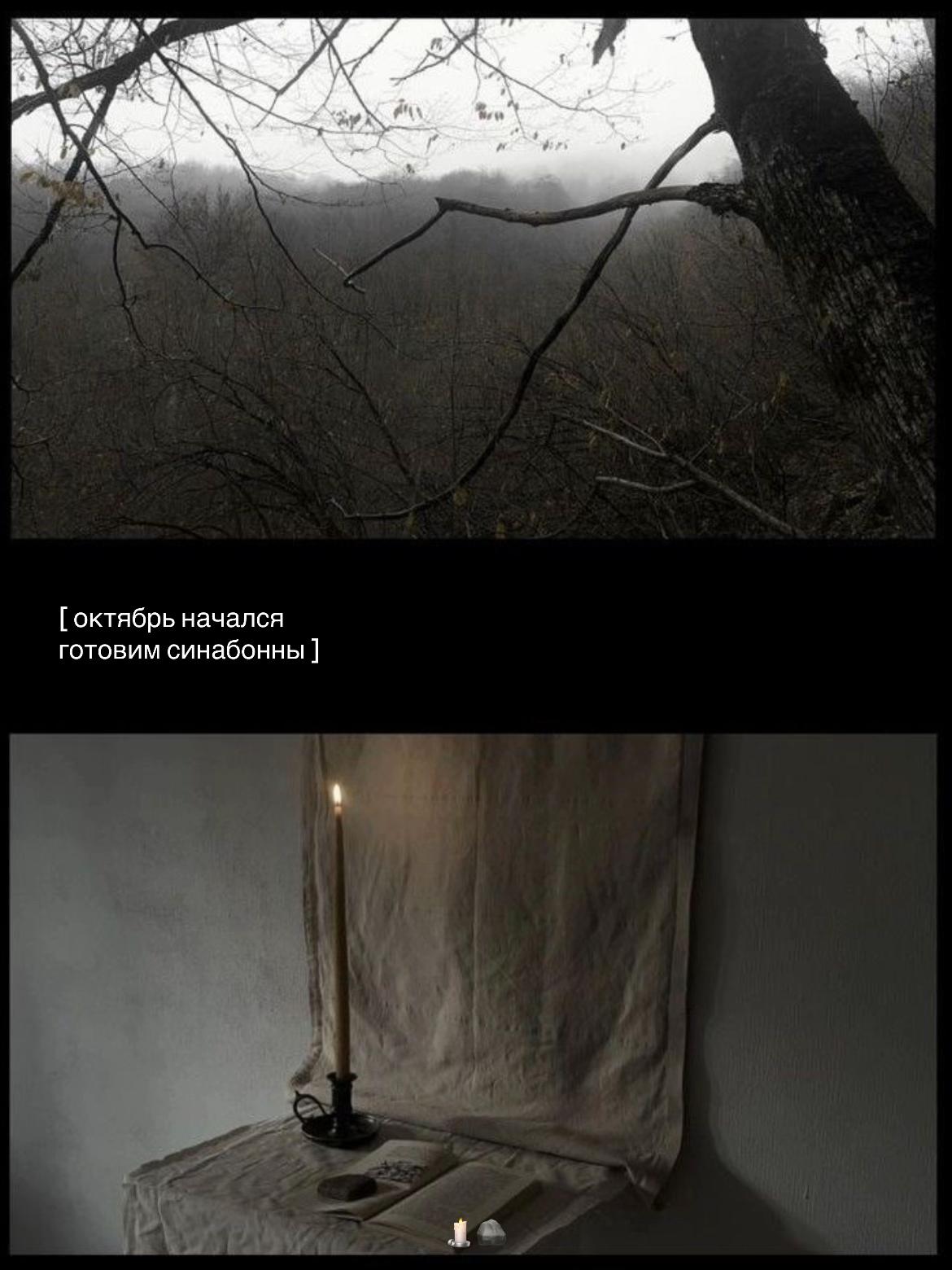 @денис старликс