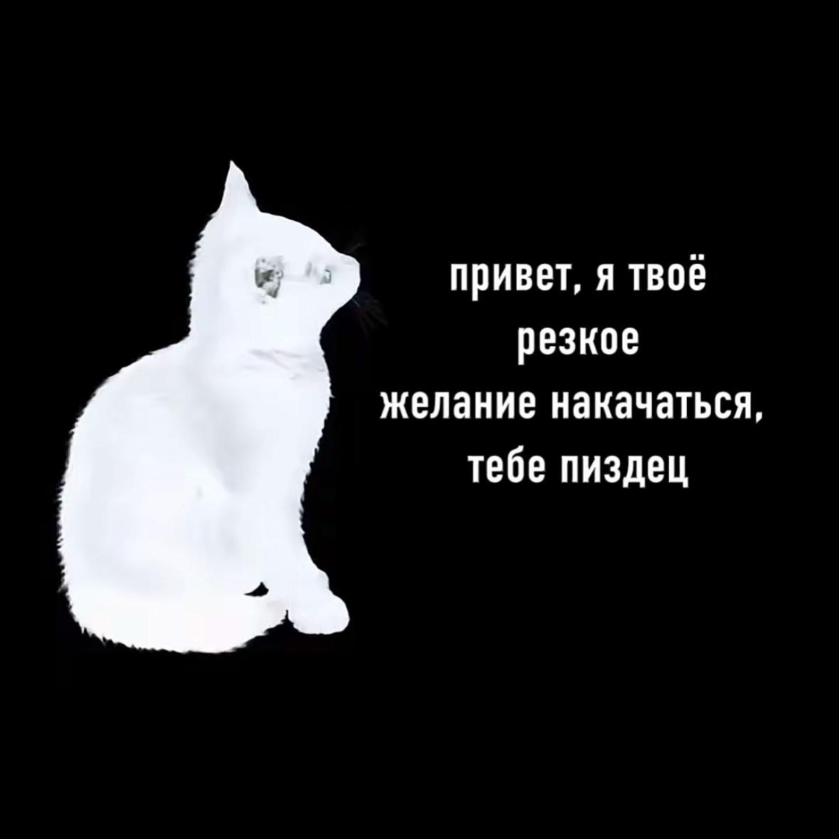 @ТГК:🌌qgorzti🌃