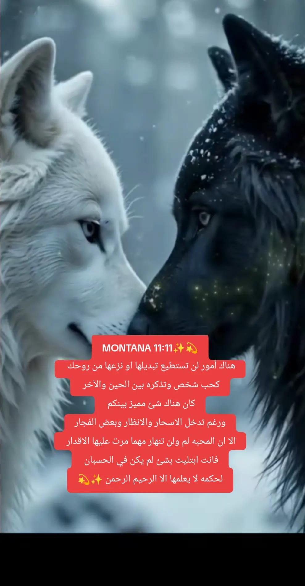@💫✨☄️ELTWAAFF☄️✨💫