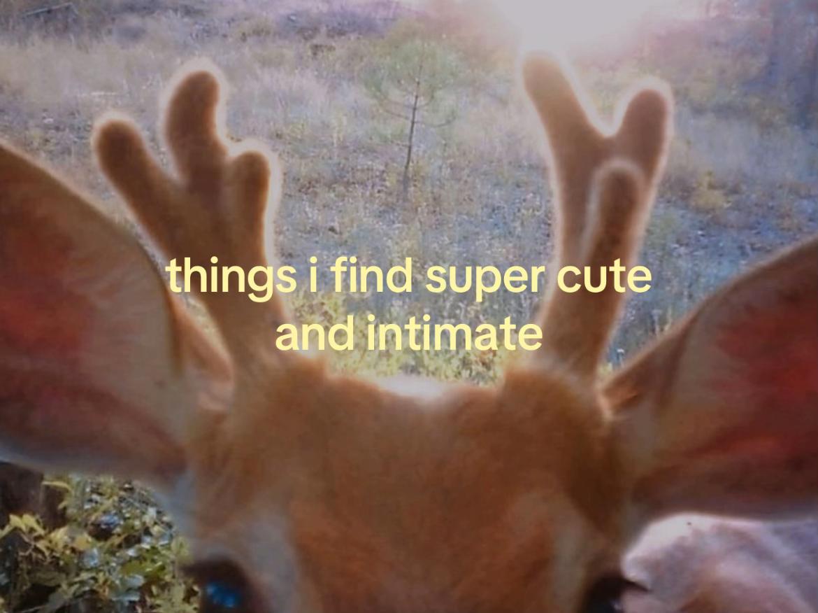 @teal