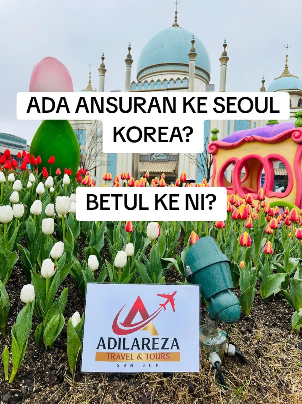 @MsJDT Travel Agent