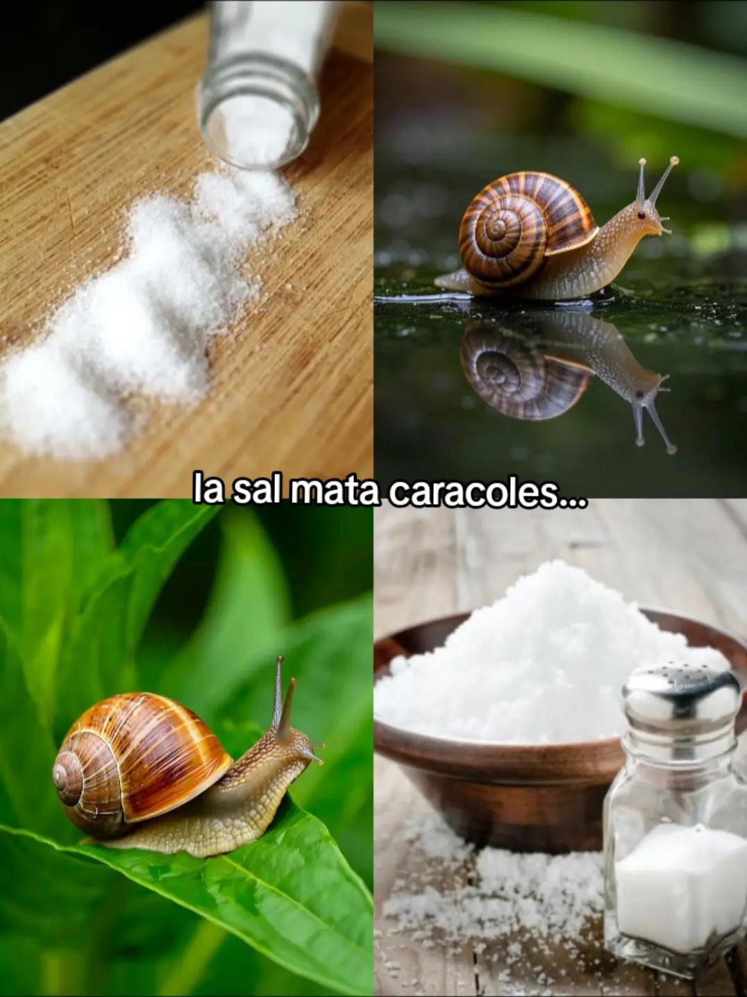 @𝕲𝖆𝖇𝖎
