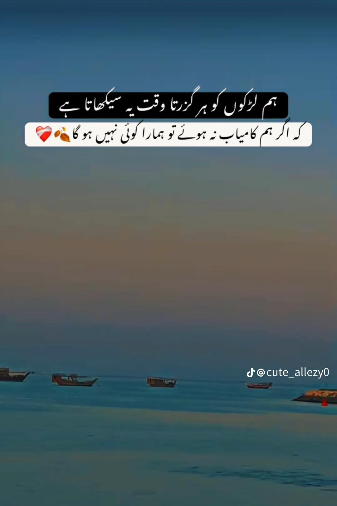 @zohaib rajpoot 770