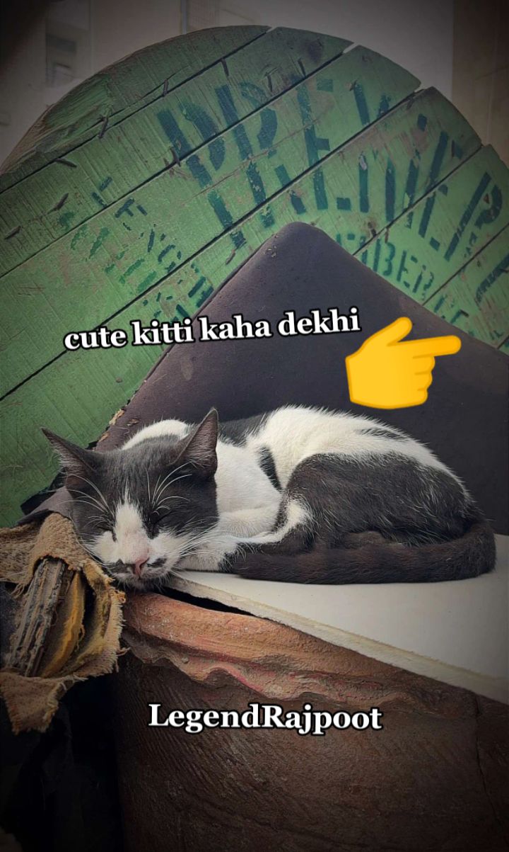 @๐๐ฎ๐ฐ๐ฎ๐ท๐ญ ๐ก๐ช๐ณ๐น๐ธ๐ธ๐ฝ ๐