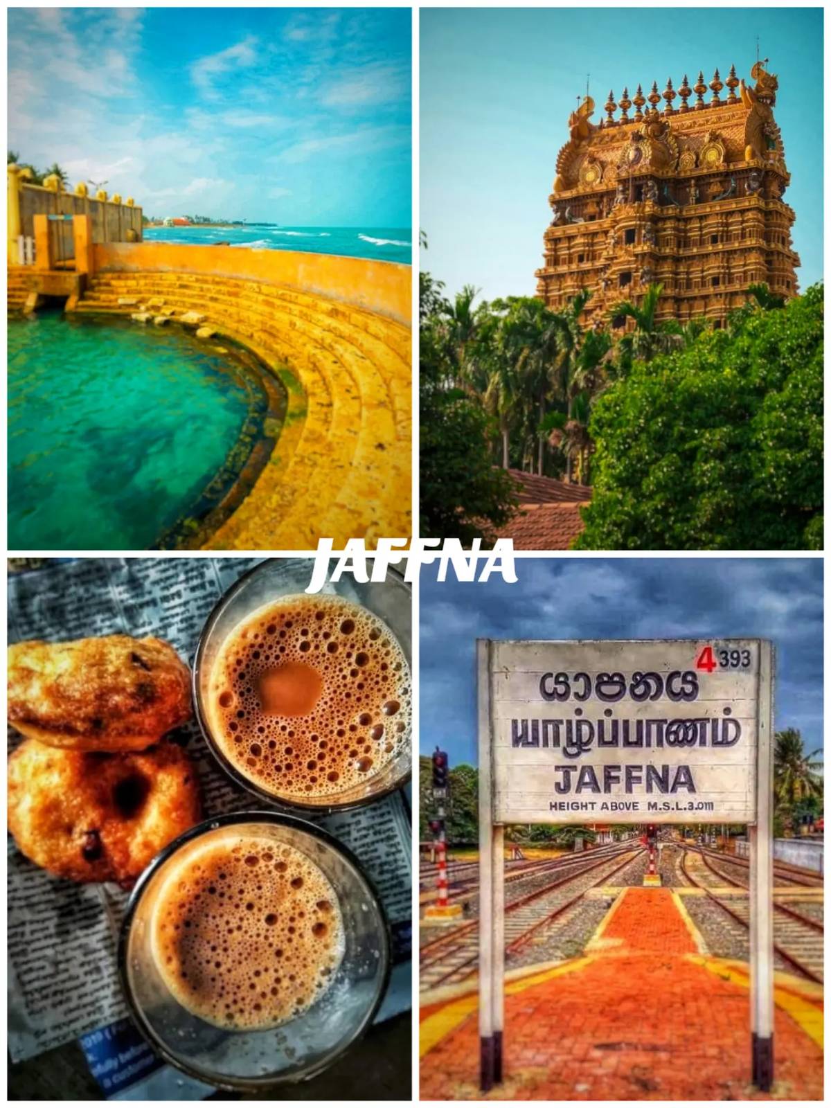 @💖Sri lanka💖🇱🇰💜🇮🇹💖