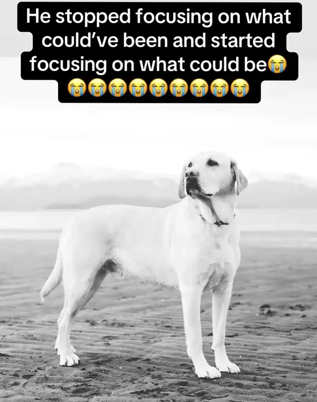@wowthatsagoodphoto