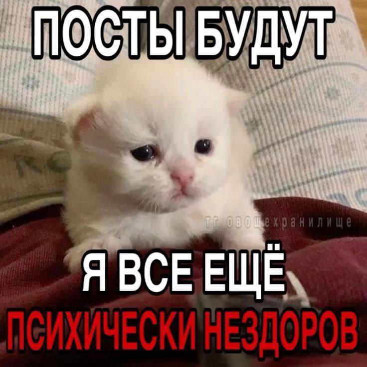 @luti chel