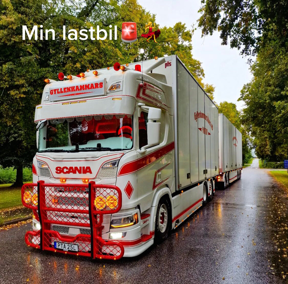 @Fribergsdjurtranspoter🥰🚨💃