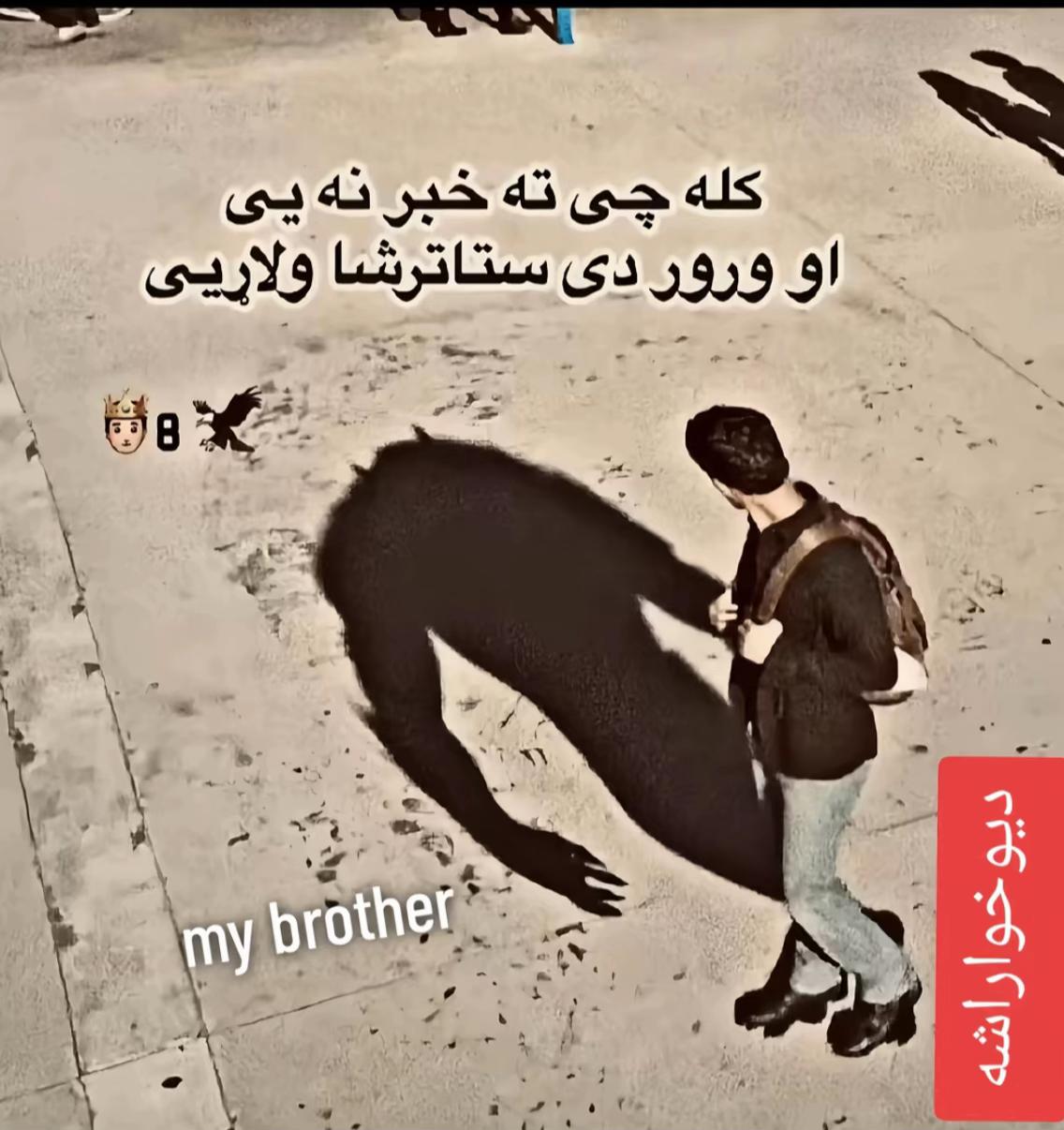 @Shawkat sahak