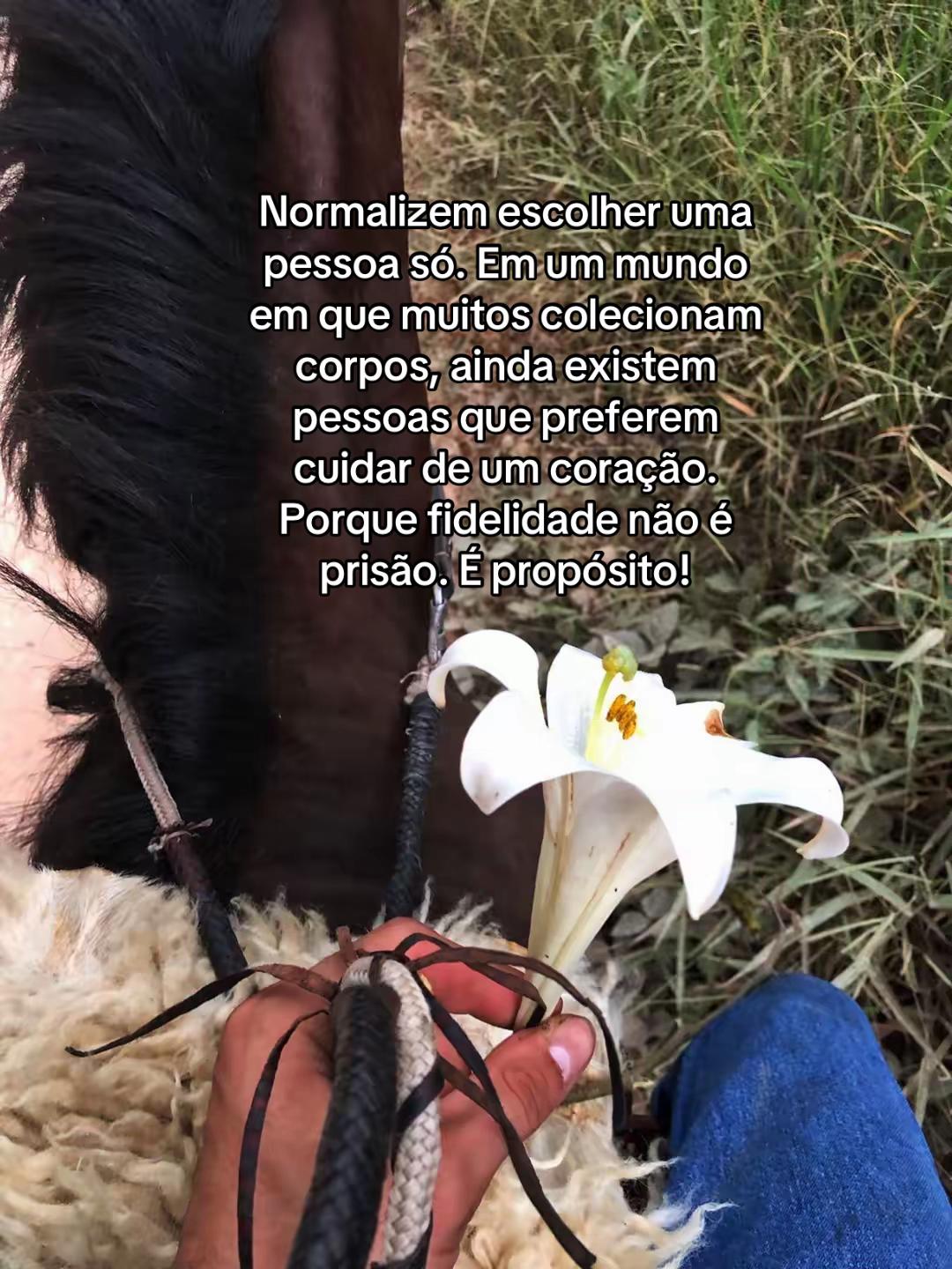 @Torezin.marcos