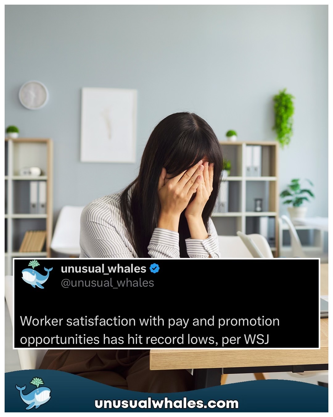@Unusual Whales