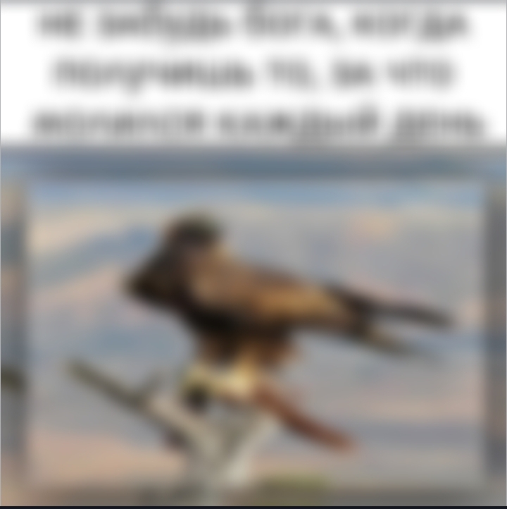 @ᴛᴦᴋ: ɸузᴀ ᴀнᴛиᴄоᴋиᴀᴧ