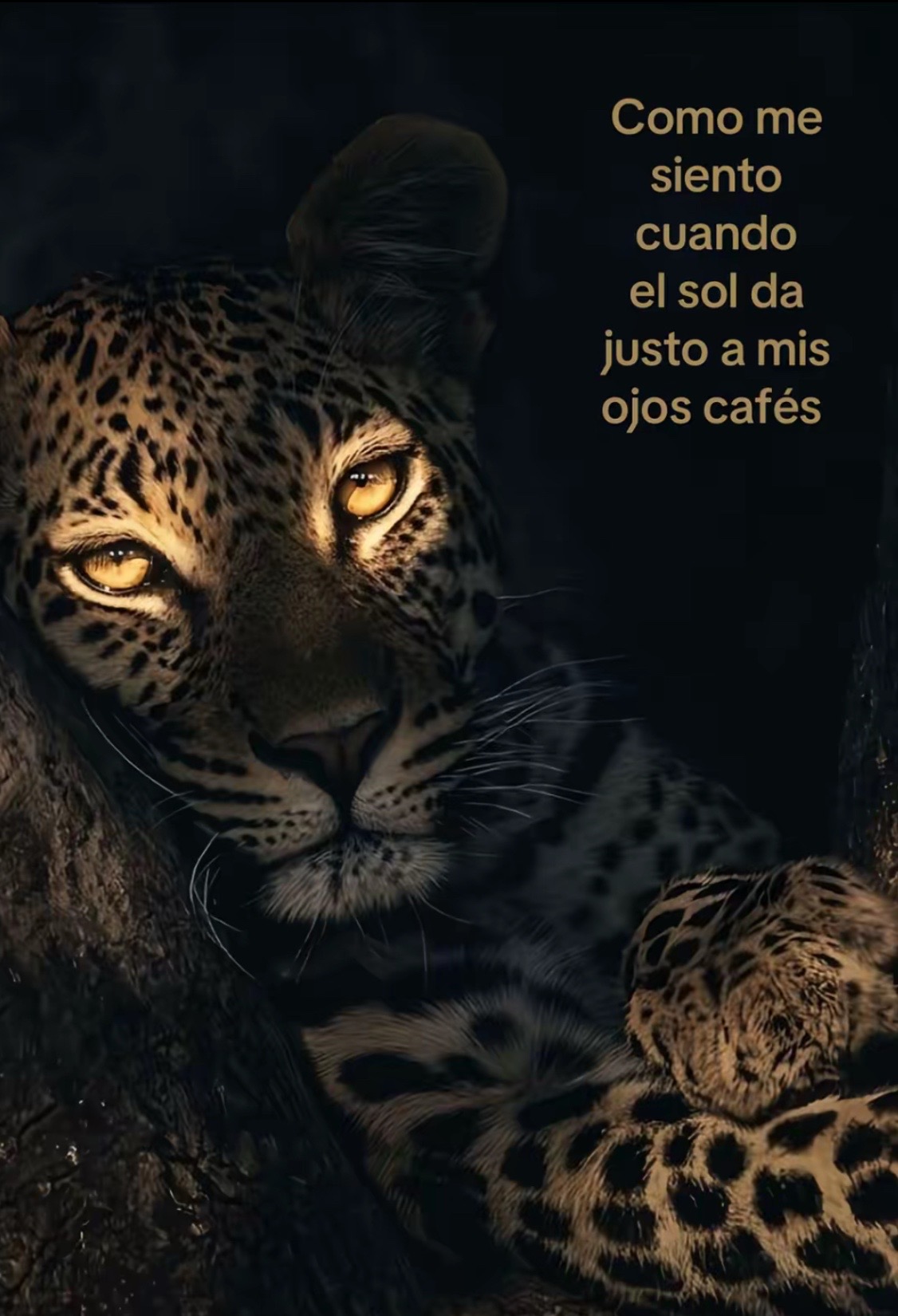 @𝓽𝓲𝓪𝓰𝓸 𝓫𝓮𝓷𝓳𝓪𝓶𝓲𝓷🧸