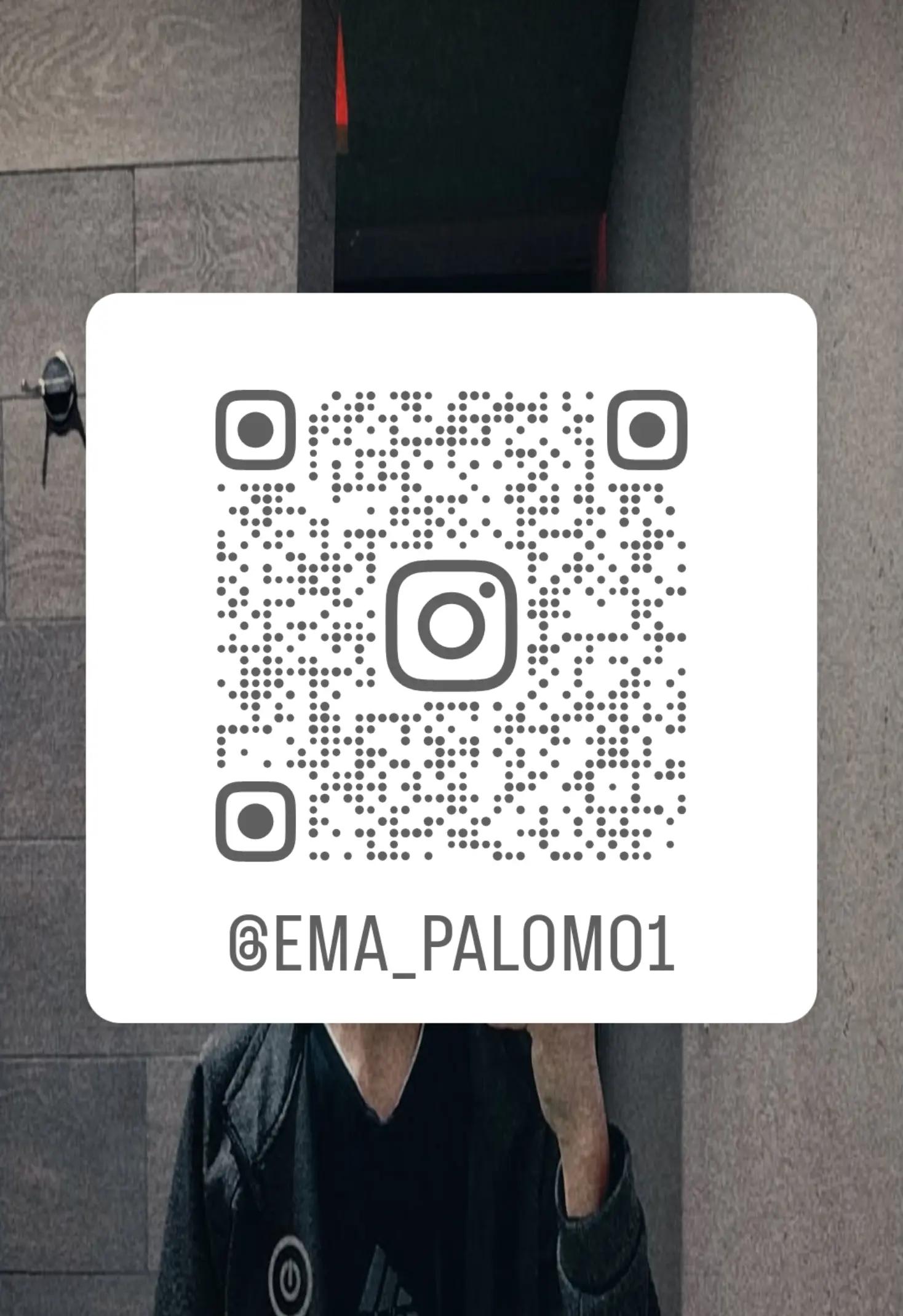 @palomo.ofici