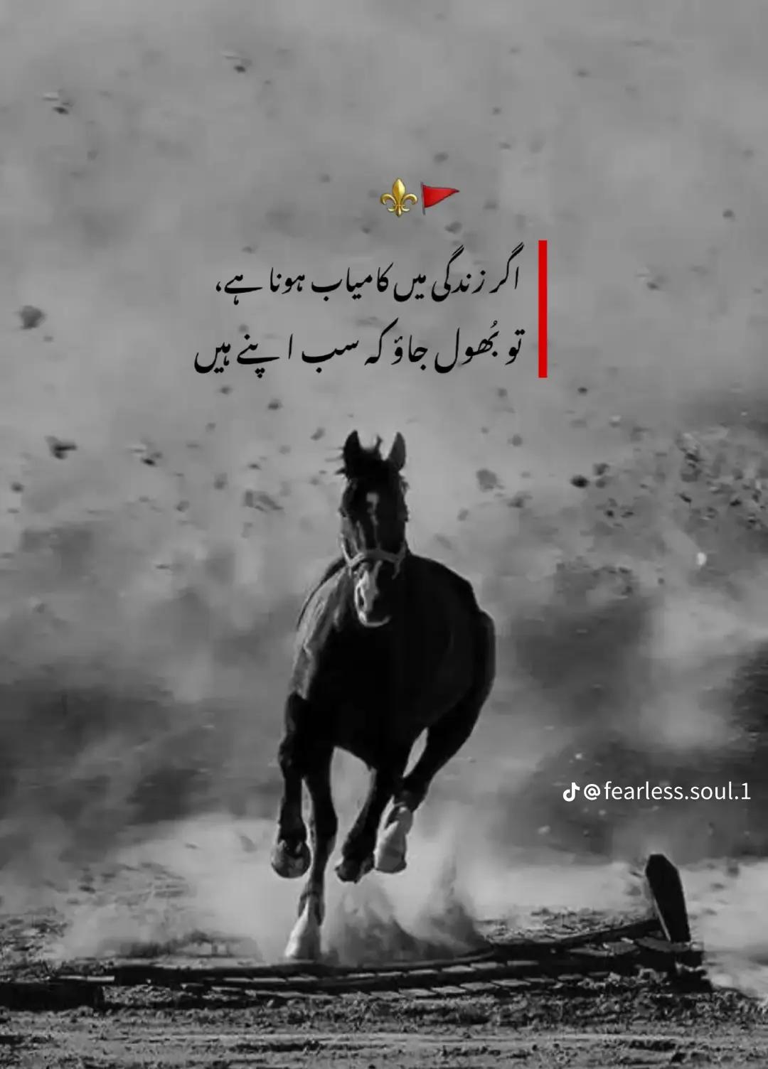 @😉sultan 🦁sheikh🦁 506😚