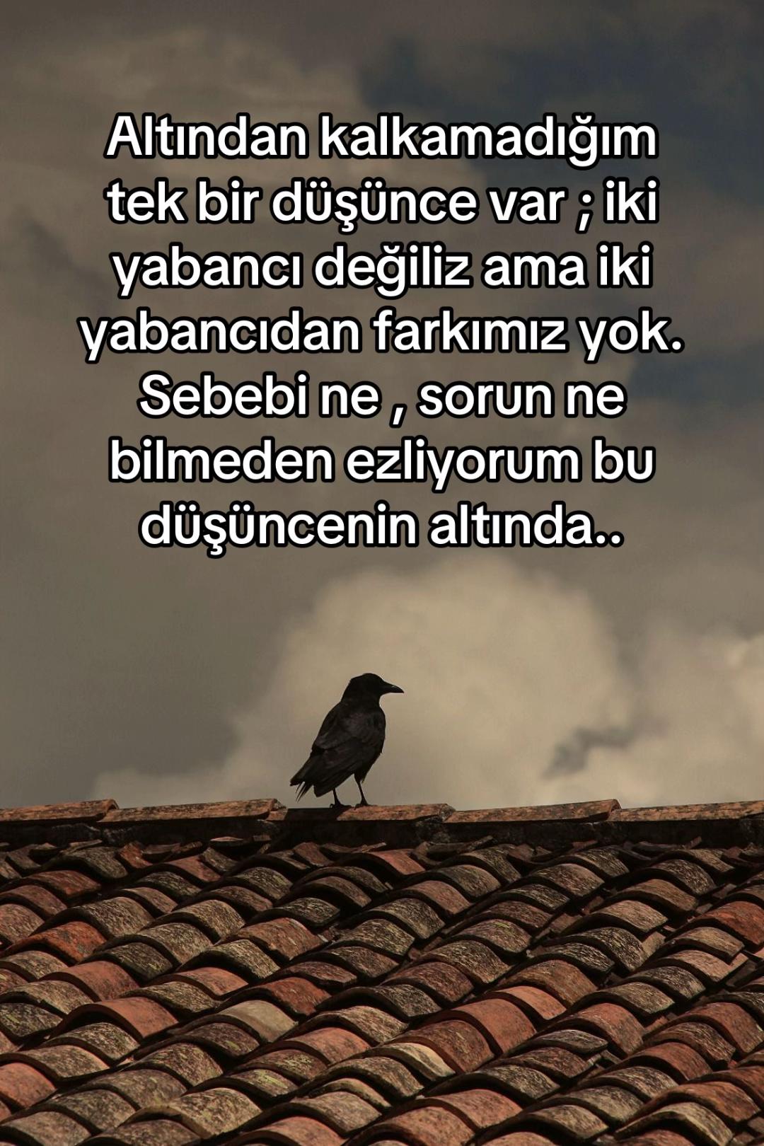 @sessiz.hislerr