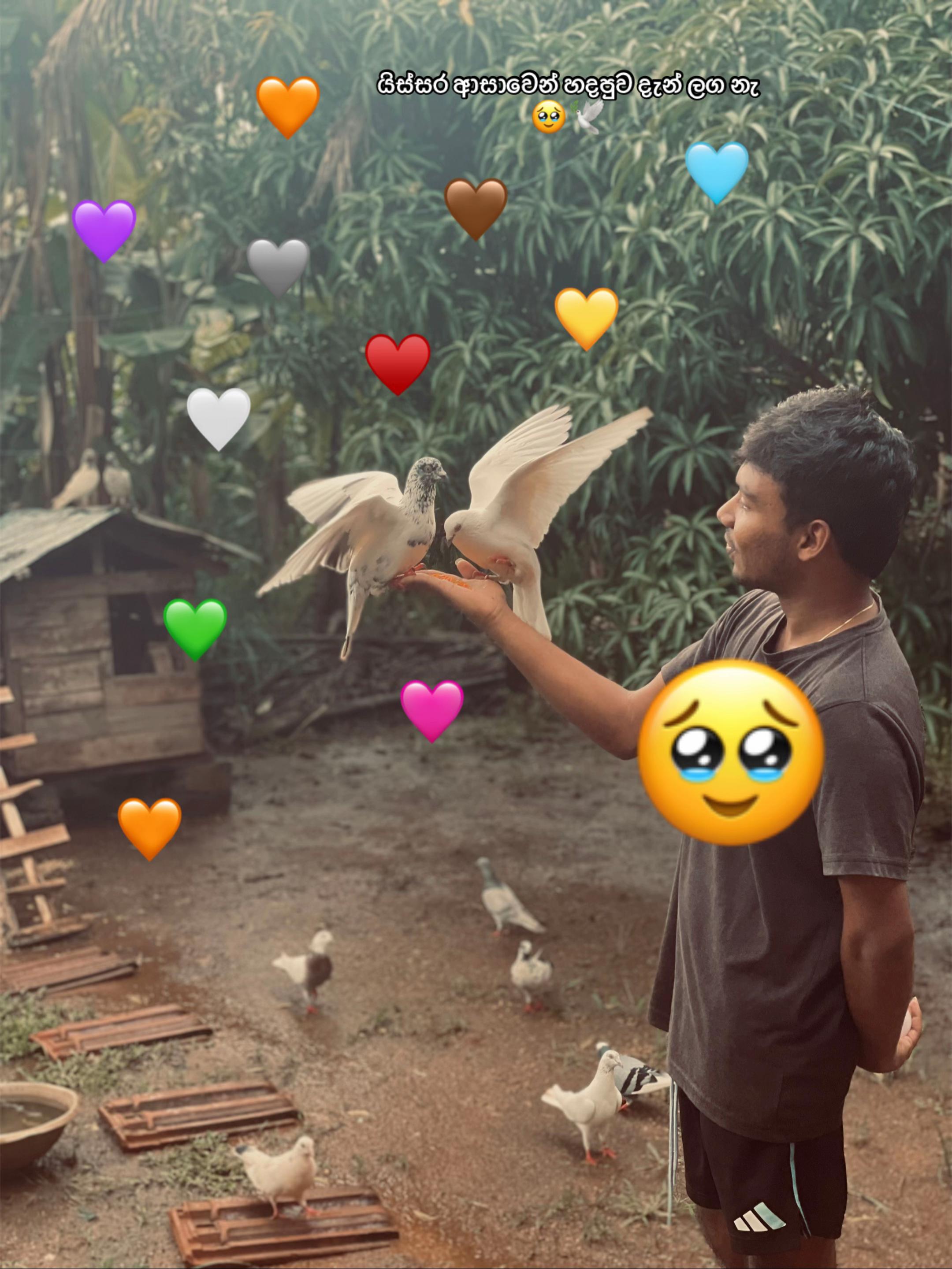 @[H a s h i 👣🦋]^[