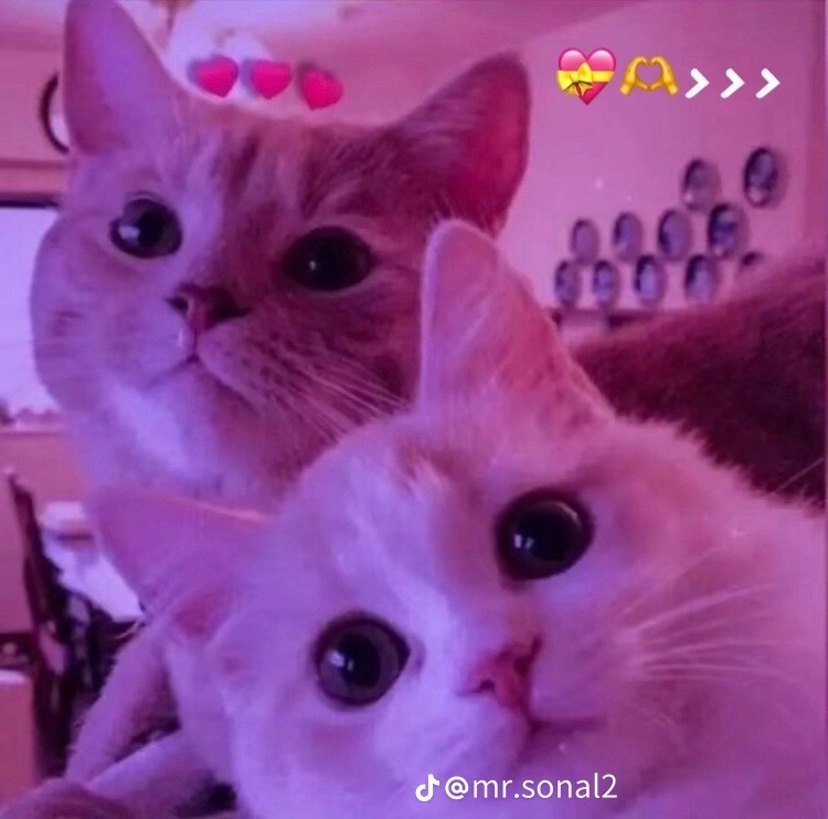 @&bull; pinindupushpika &bull;