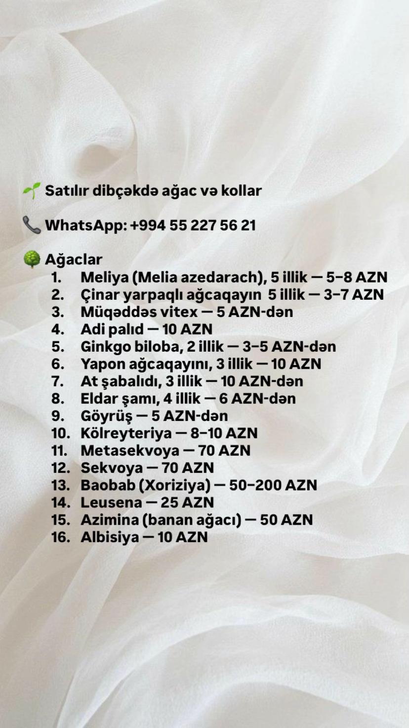 @Nüşabə Məmmədova
