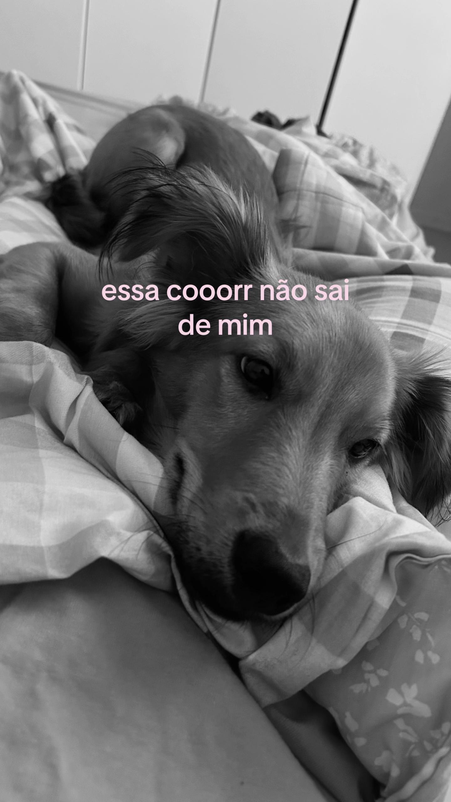 @luinza💋