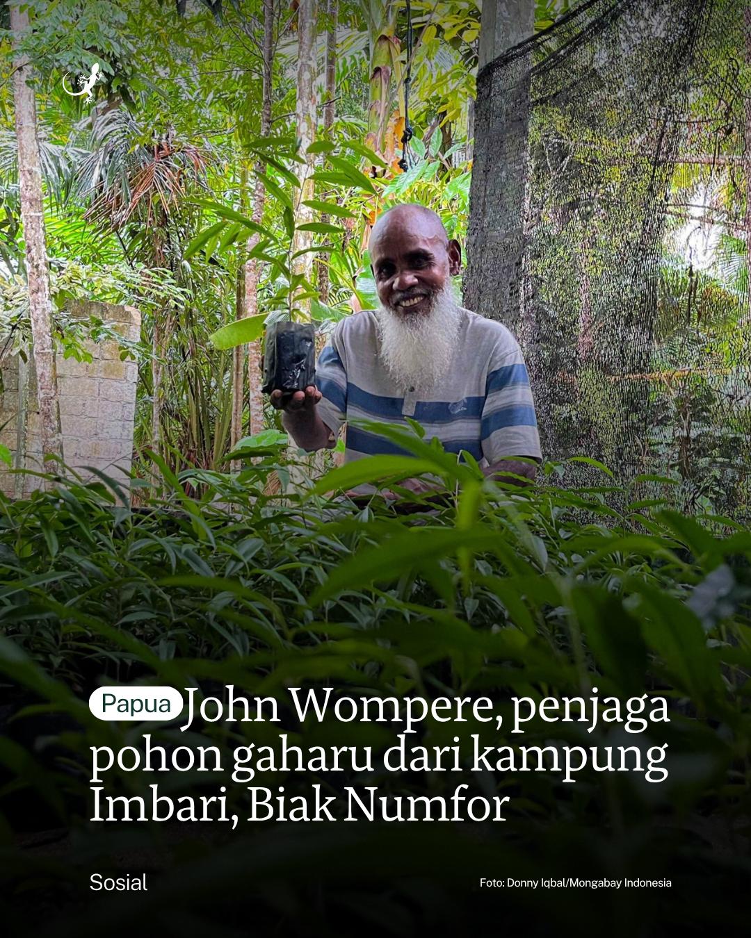 @mongabayindonesia