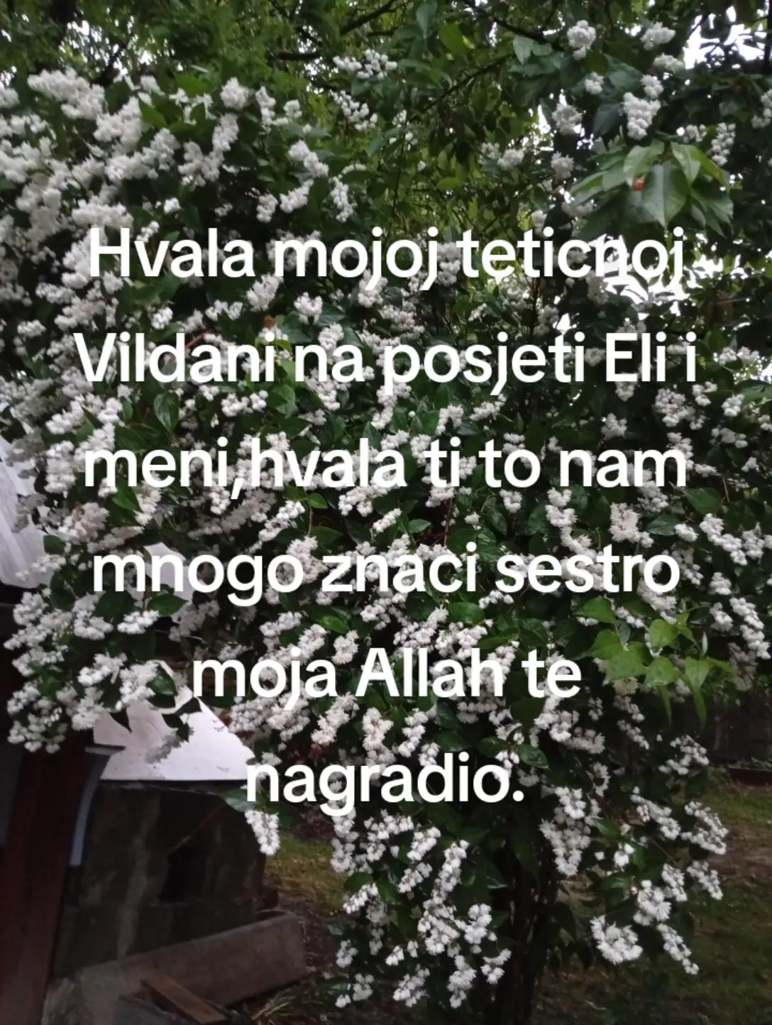 @Podrška Elmini Veletovac