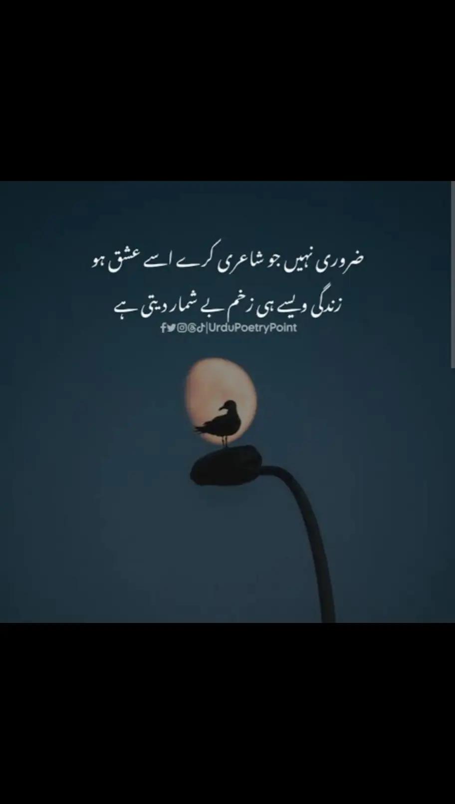 @wish_ali12