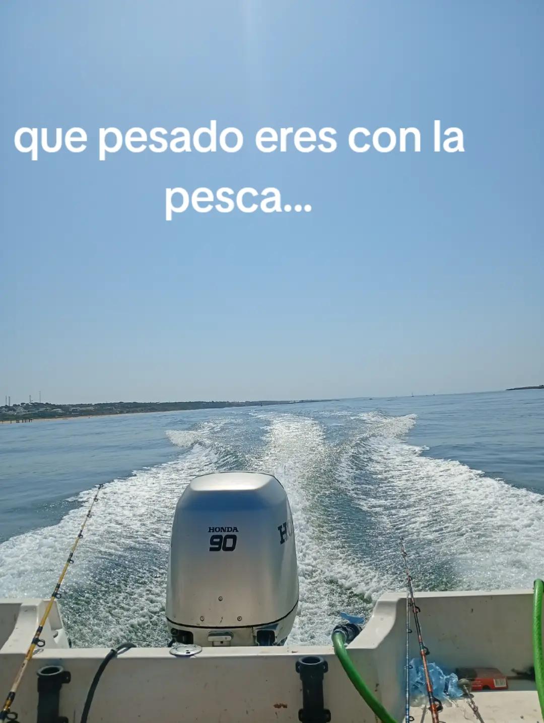 @alejandro