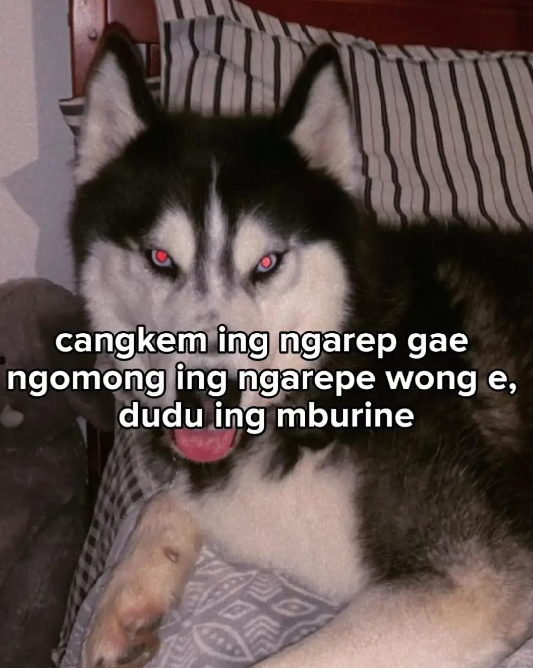 @B 4 YU