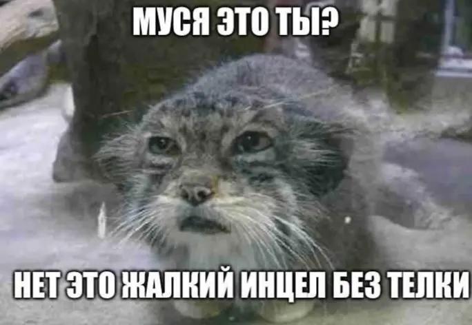 @flawwwwa2010
