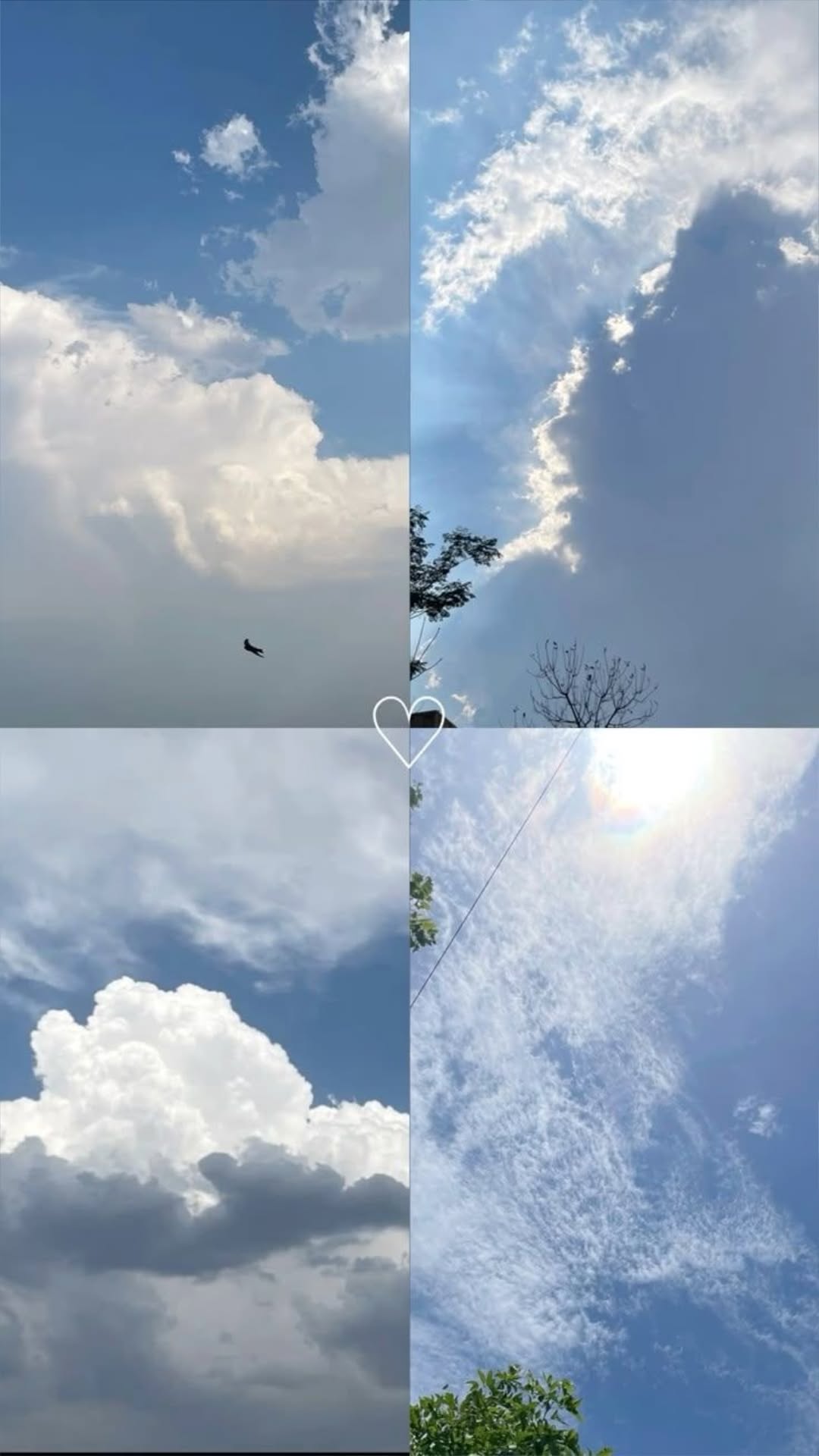 @𝐒𝐞𝐞𝐦𝐚