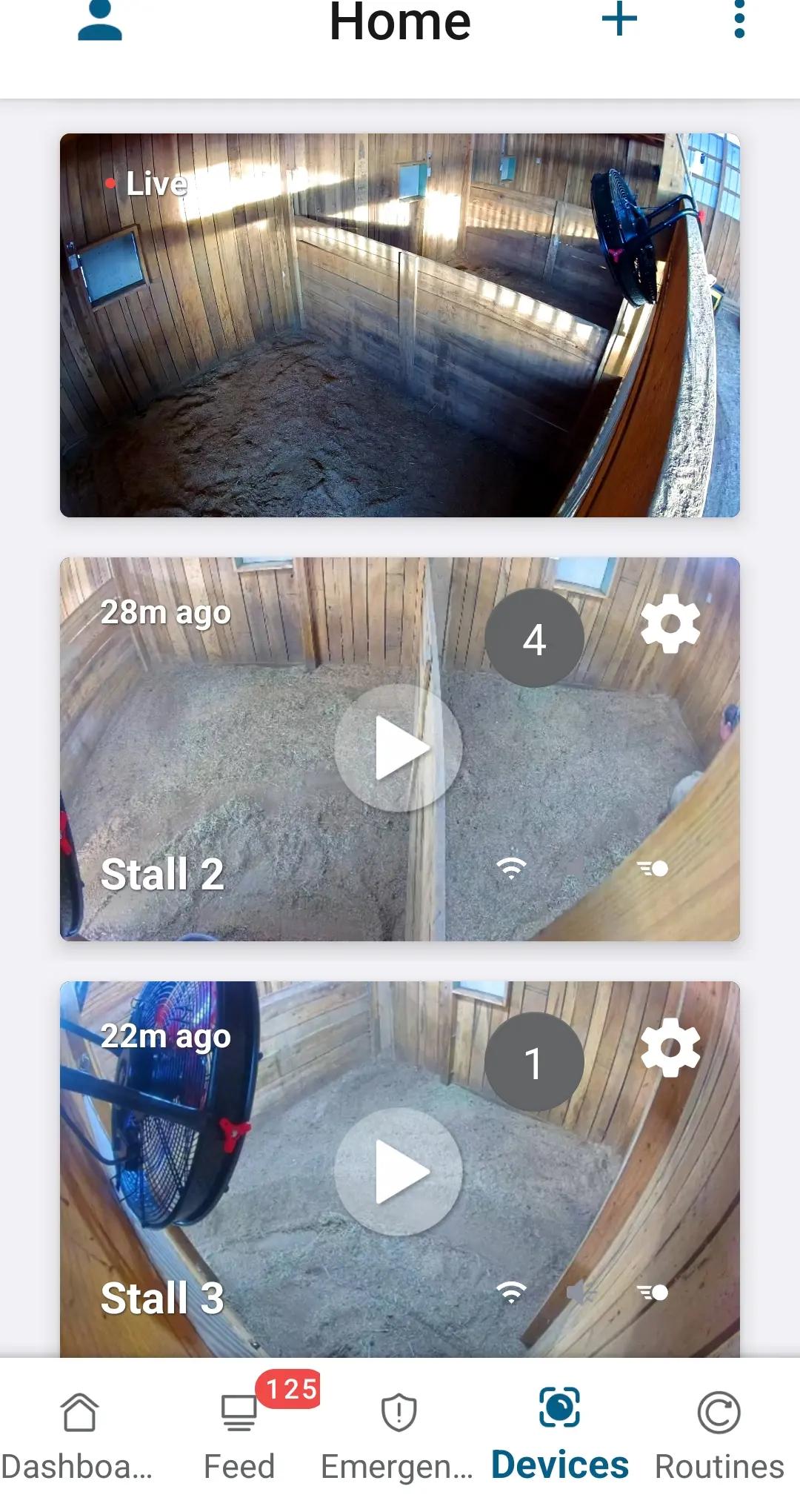 @synetta harlan