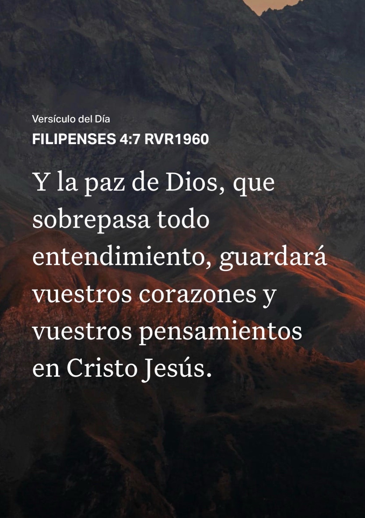@Irma Hern&aacute;ndez