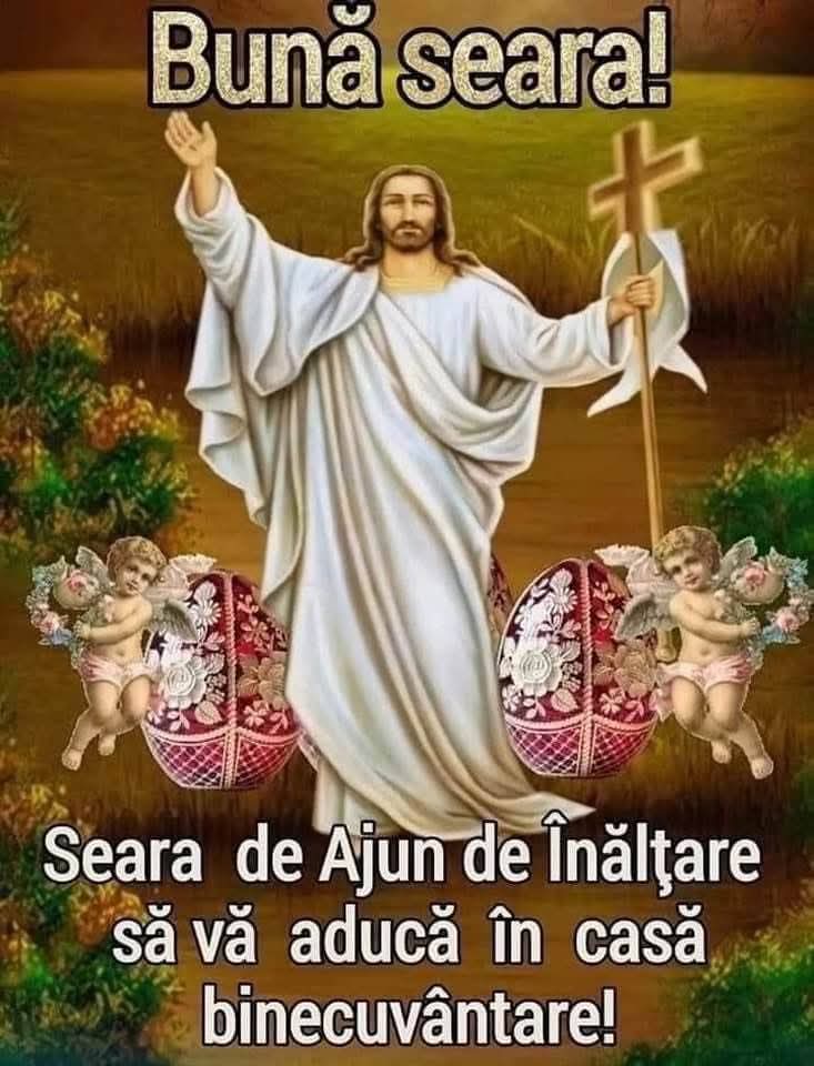 @Mihaela Liliana