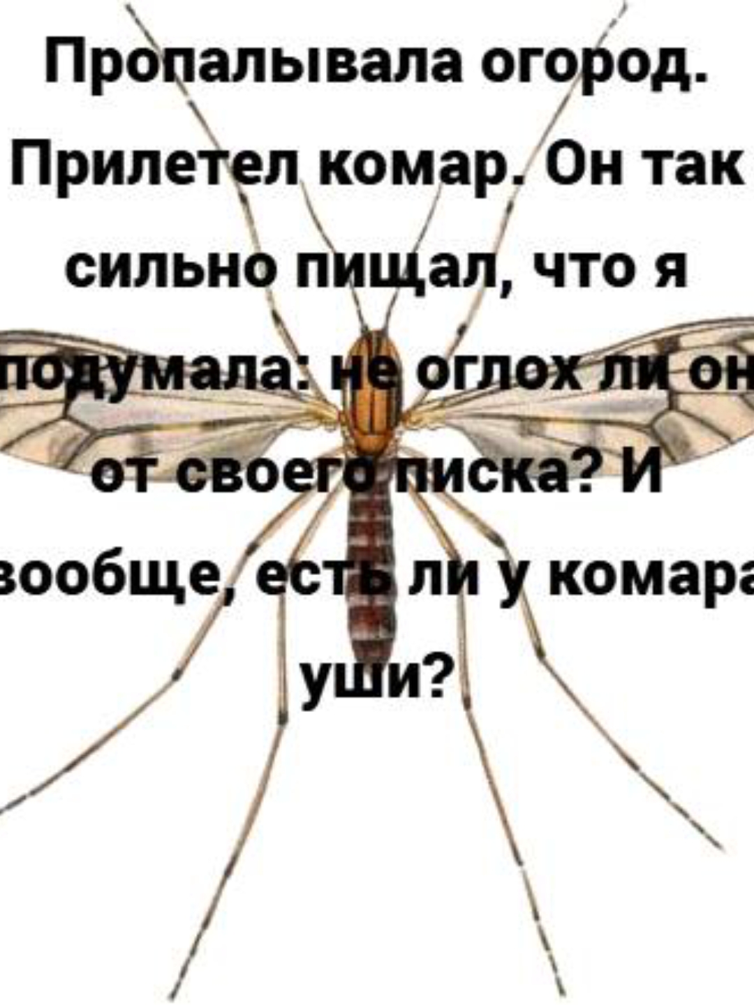 @УМКА