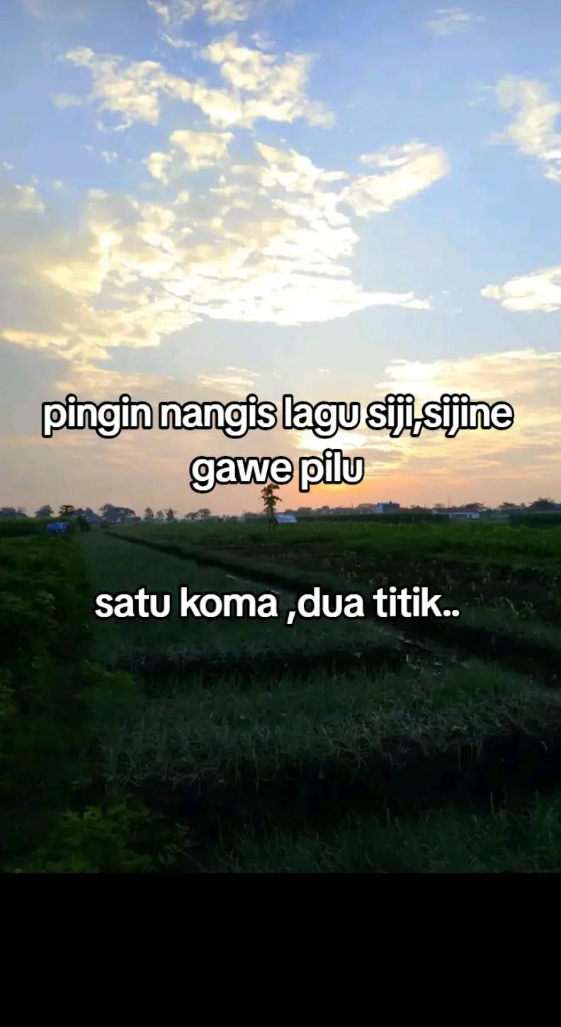 @ST Sehati