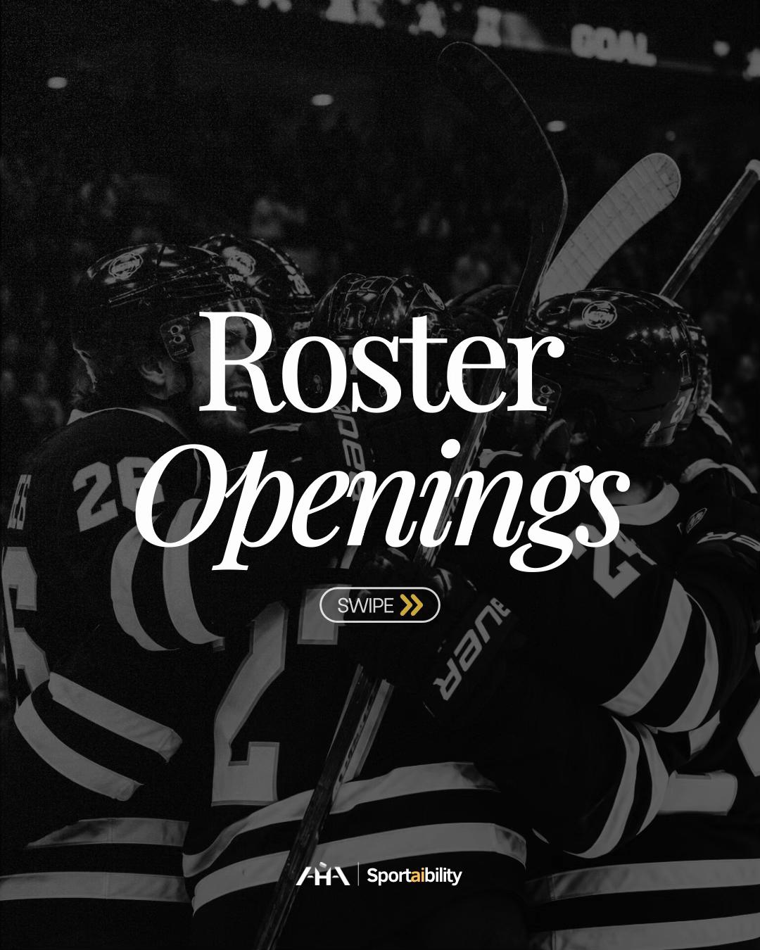@Advancement Hockey Agency