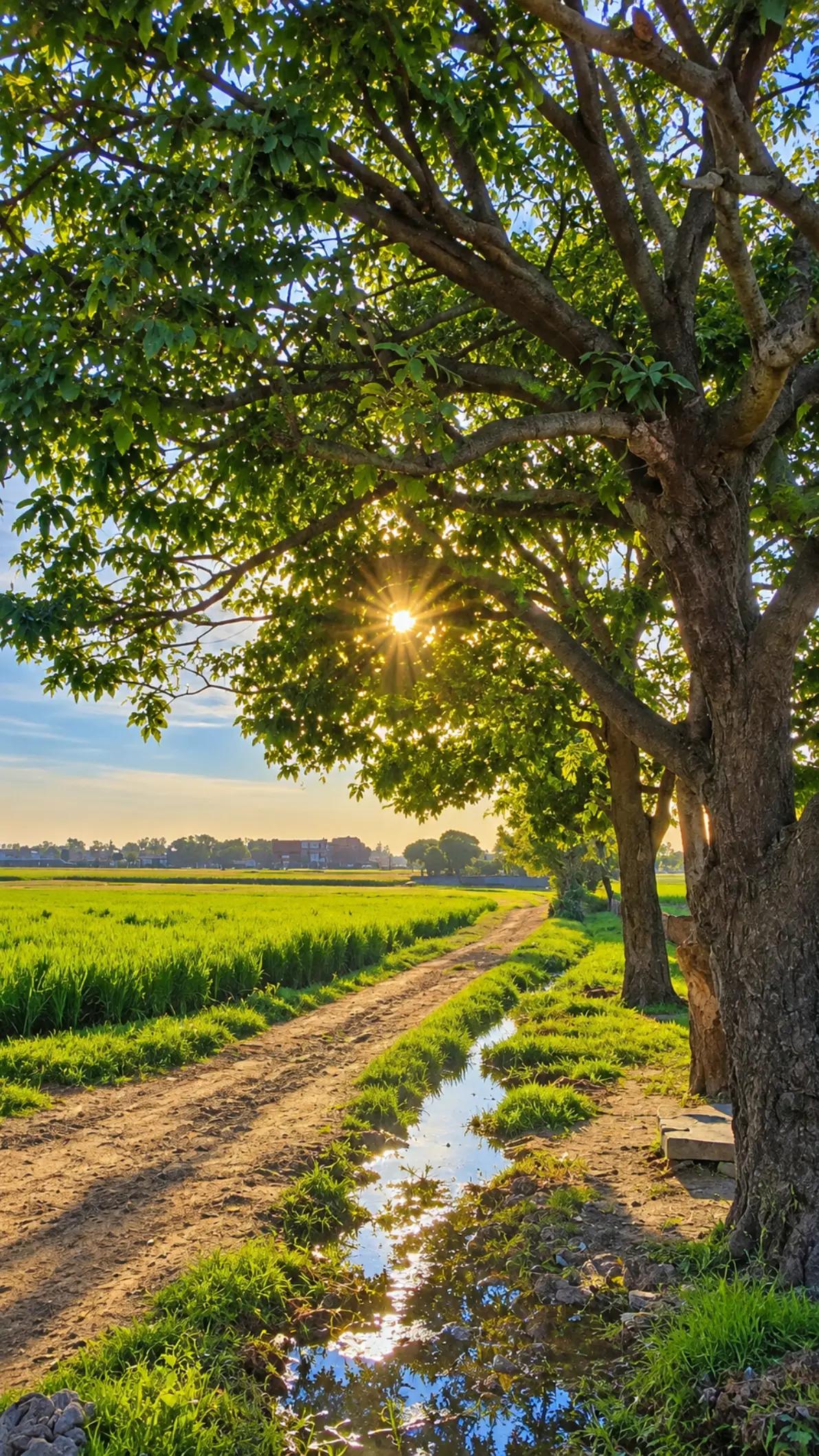 @عبدالرحیم🫀