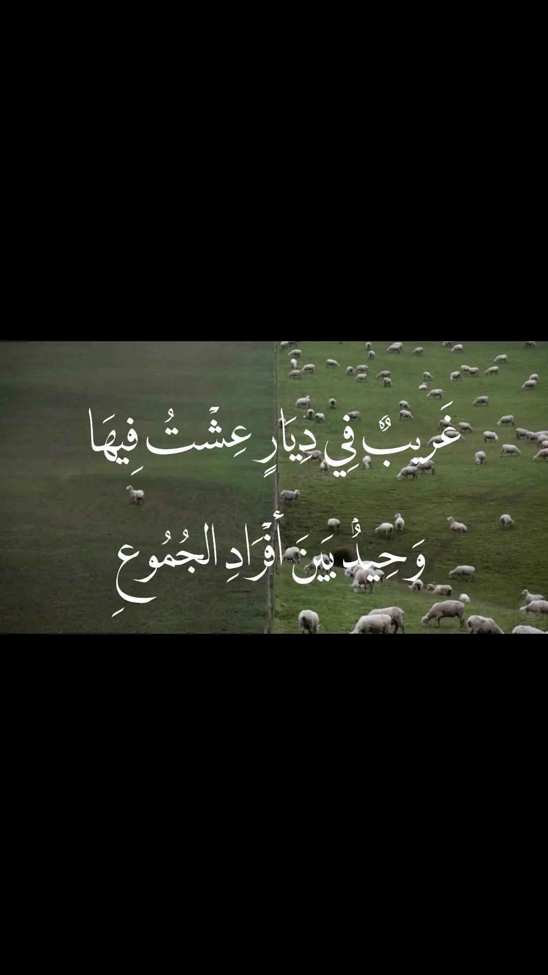 @أَلِيس