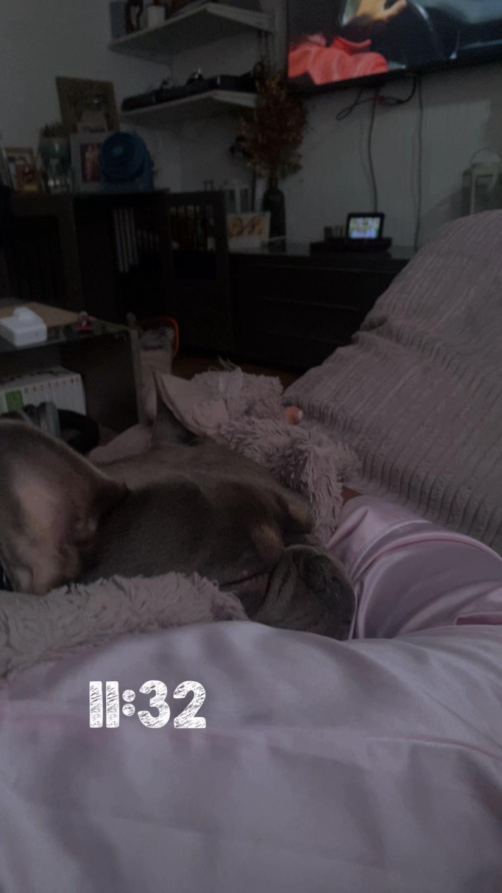 @keii.xvn.spamm