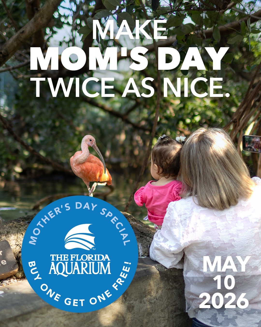 @The Florida Aquarium