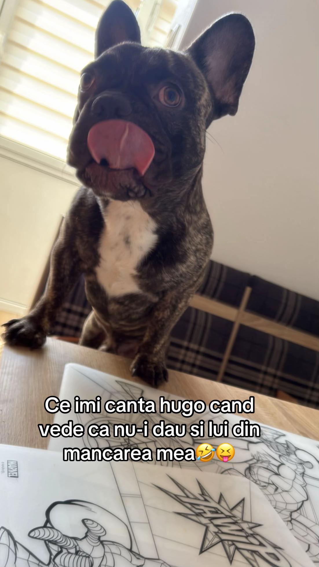 @Viata cu a l e🐣