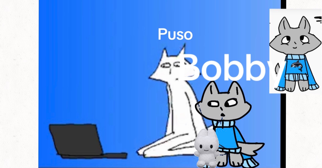 @🩷bad bubblegum bad meows pet