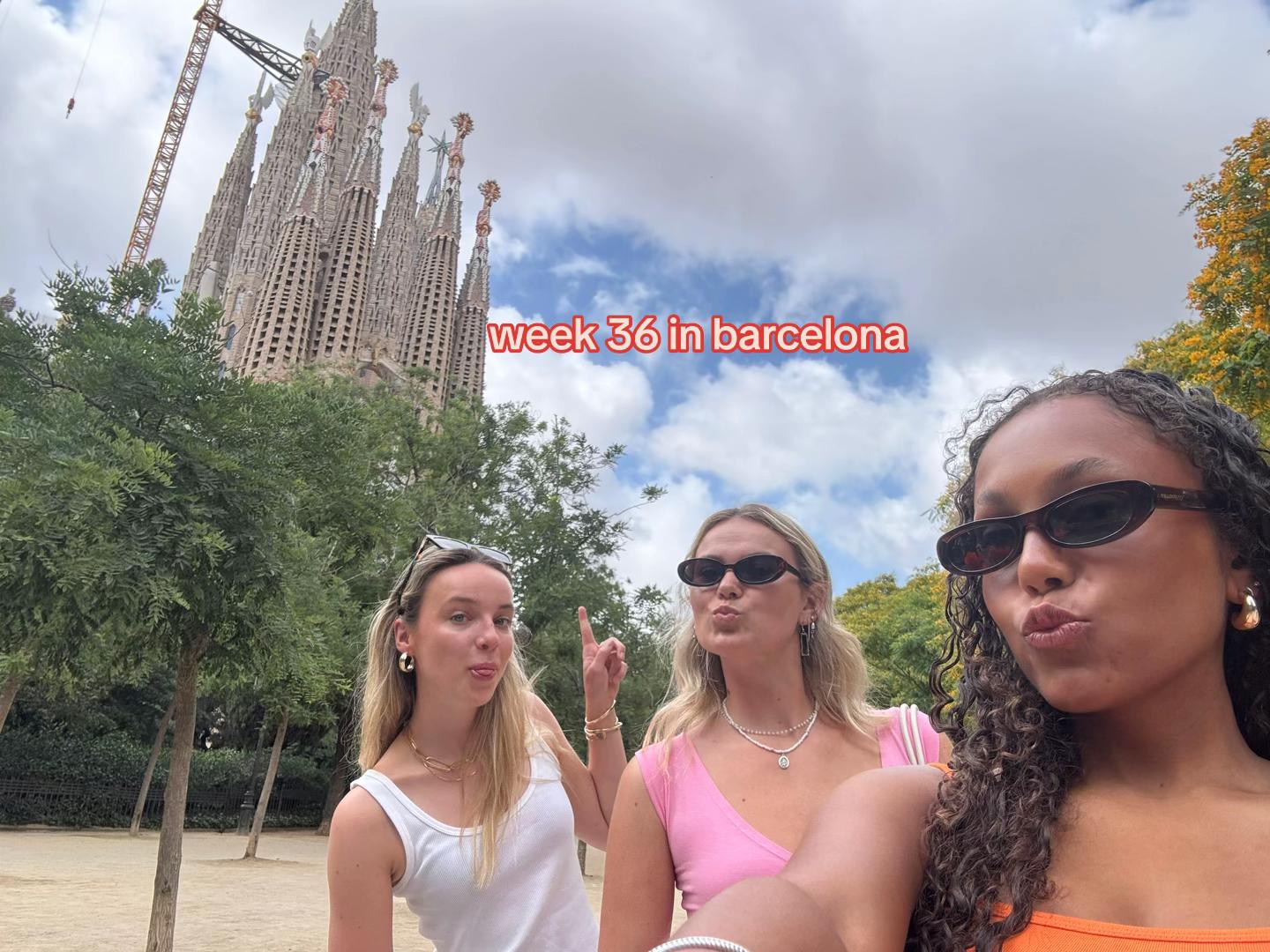@bella.oliphant