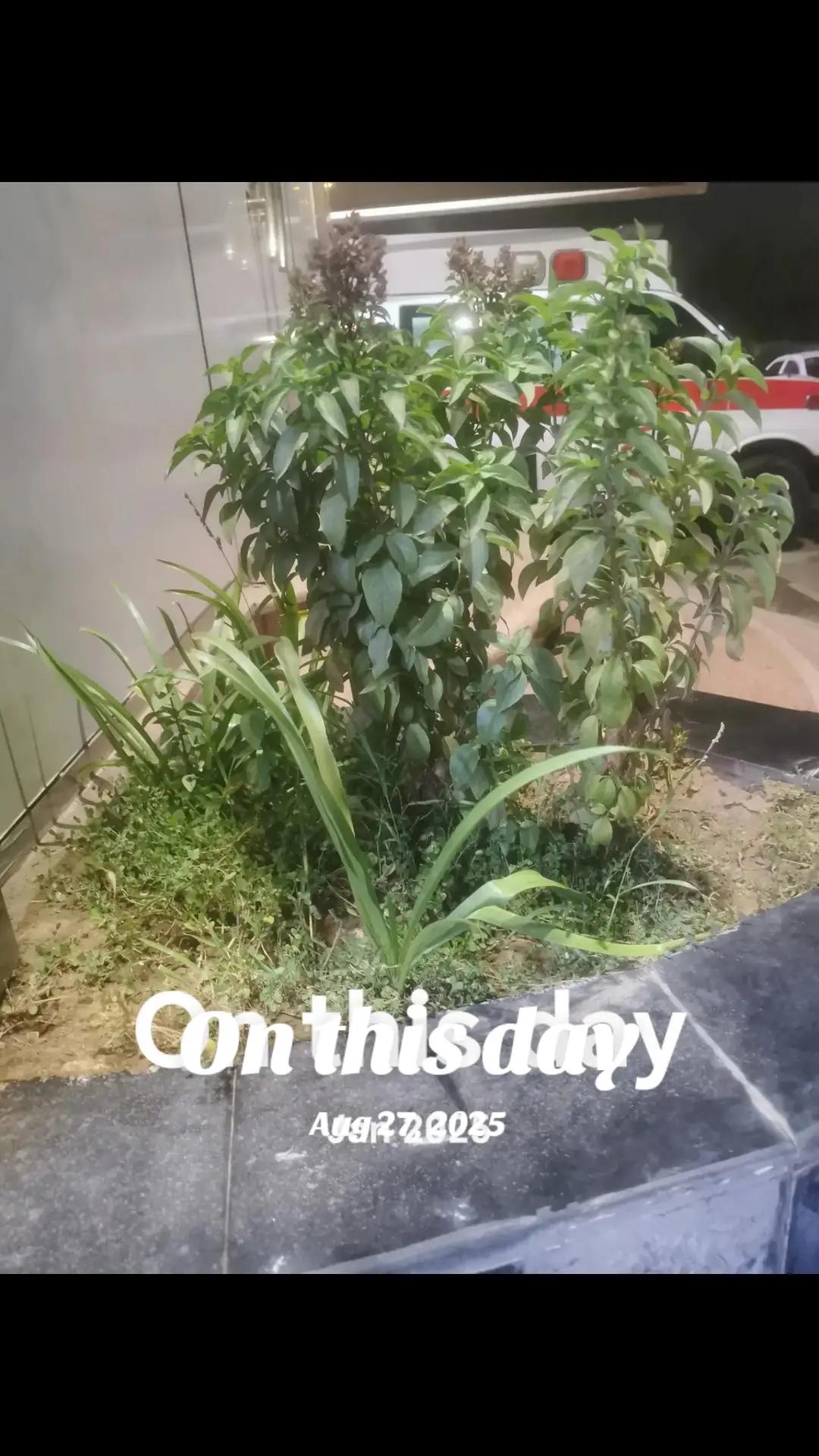 @ঘুমন্ত শহর