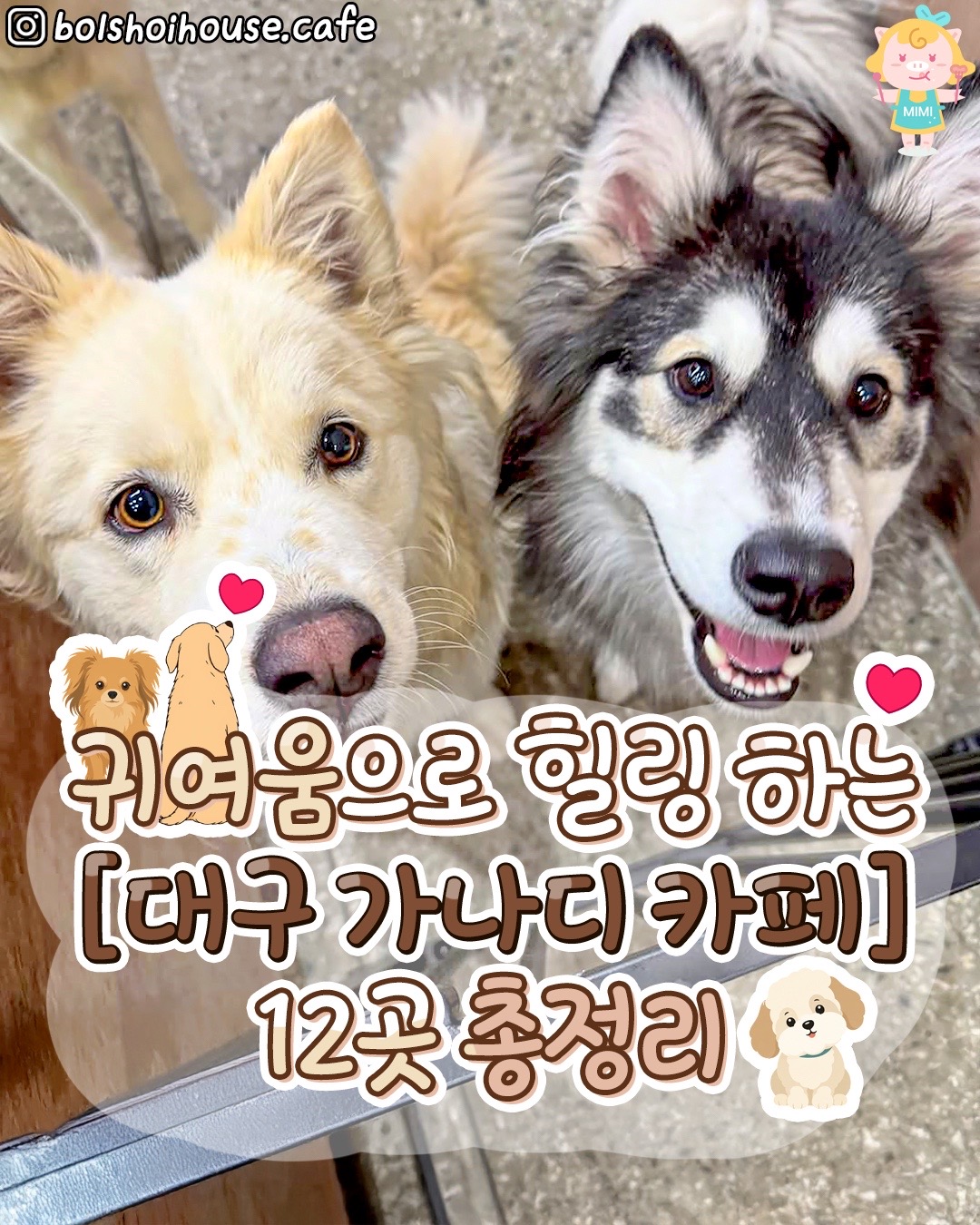 @대구핫플