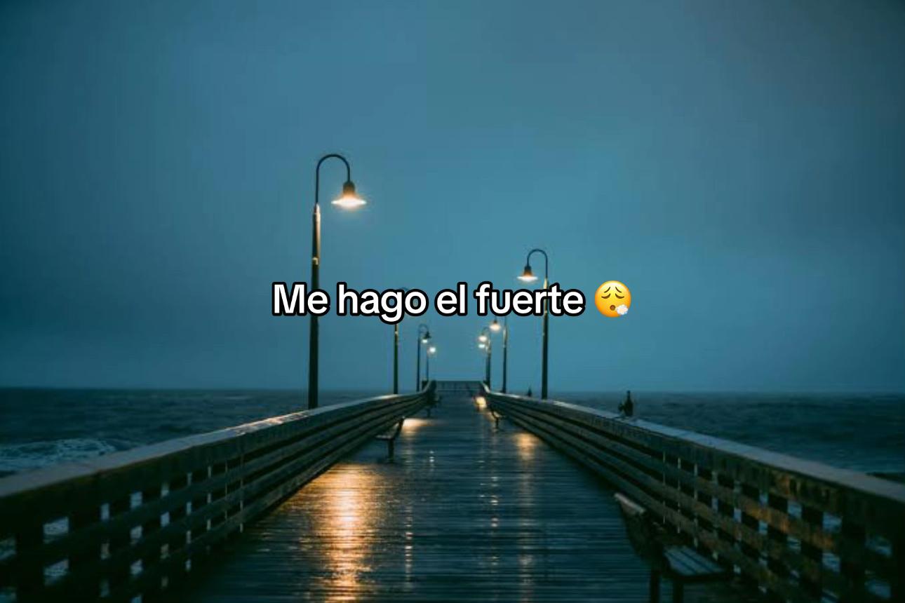 @Alexander Mendoza 🐻