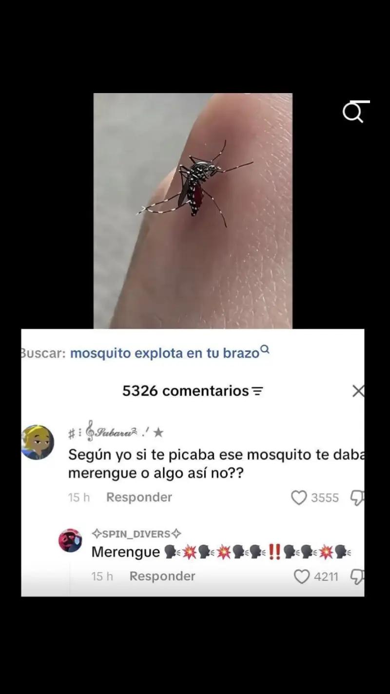 @𝑺𝒐𝒚 𝑯𝒂𝒅𝒆𝒔